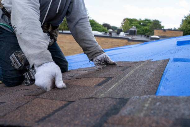 Professional Roofing Contractor in Laymantown, VA