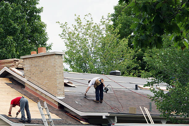 Best Roof Gutter Cleaning  in Laymantown, VA