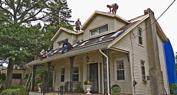 Best Roof Gutter Cleaning  in Laymantown, VA