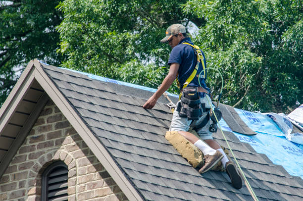 Best Gutter Installation and Roofing  in Laymantown, VA